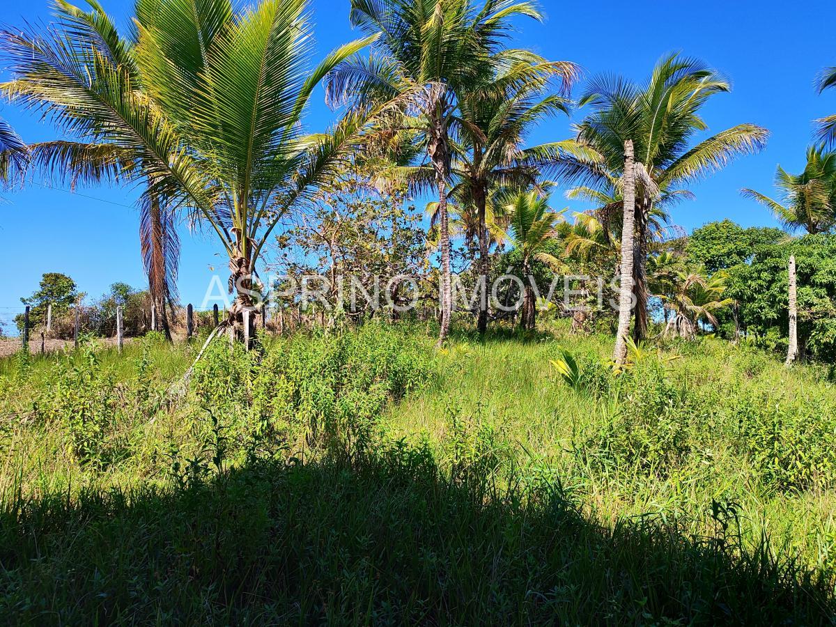 Chácara à venda com 2 quartos, 20000m² - Foto 19