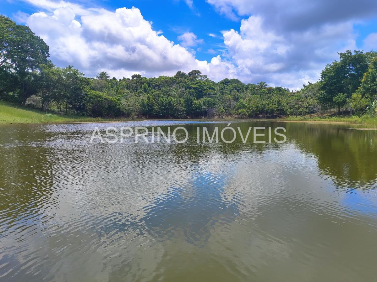 Terreno à venda, 5000m² - Foto 7