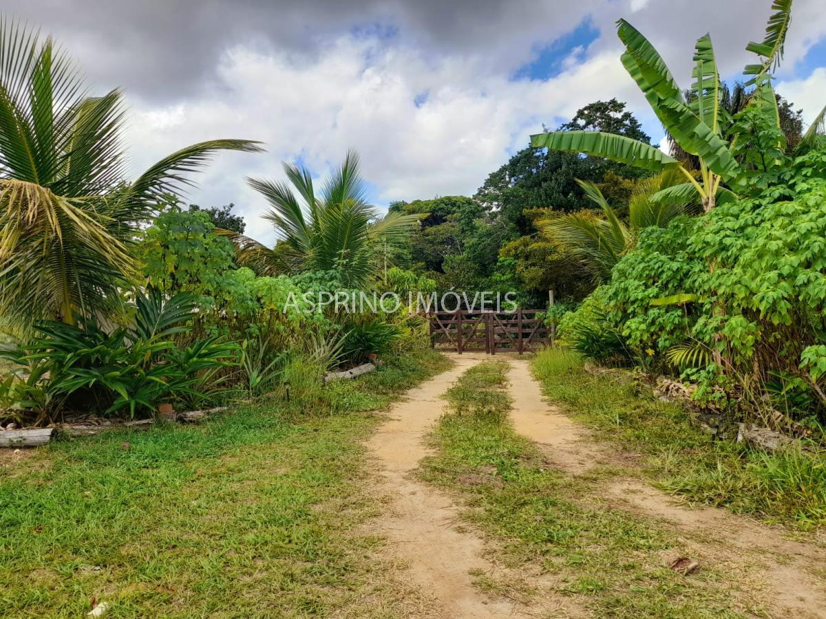 Chácara à venda com 3 quartos, 20000m² - Foto 24