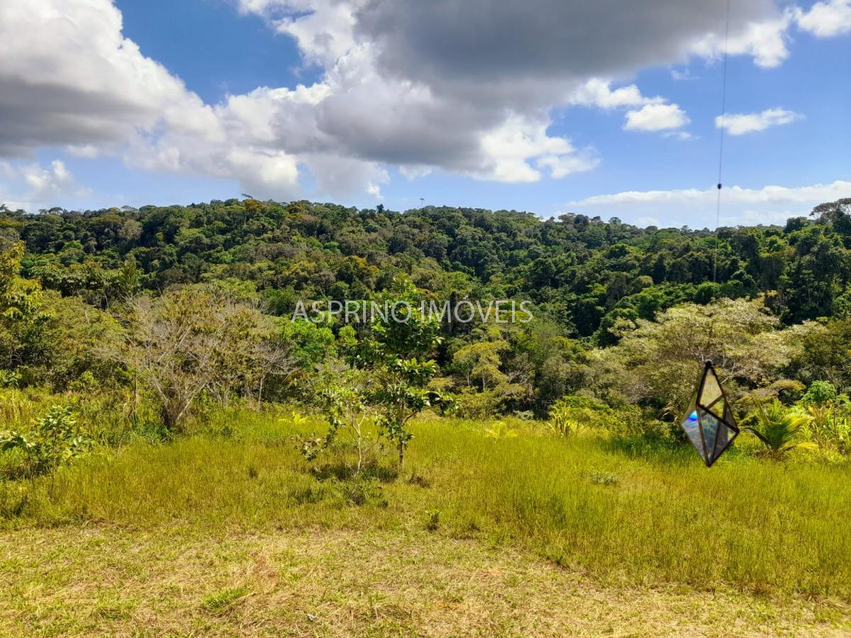 Chácara à venda com 3 quartos, 20000m² - Foto 23