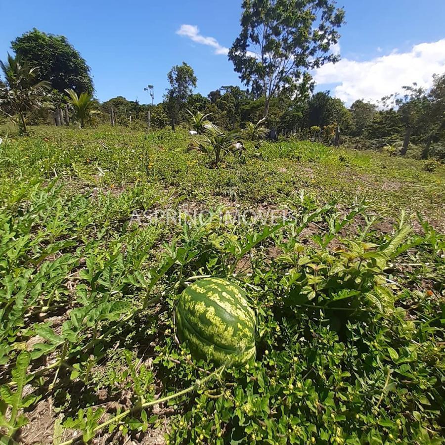 Chácara à venda com 3 quartos, 20000m² - Foto 30