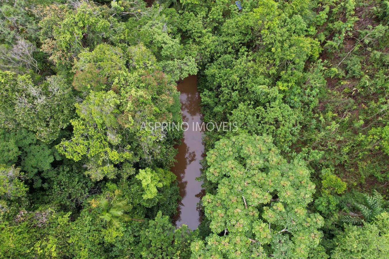 Chácara à venda com 3 quartos, 20000m² - Foto 4