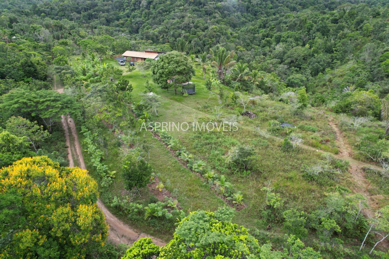 Chácara à venda com 3 quartos, 20000m² - Foto 5