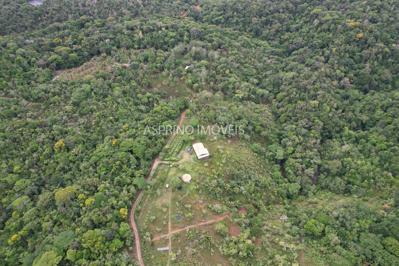 Chácara à venda com 3 quartos, 20000m² - Foto 6