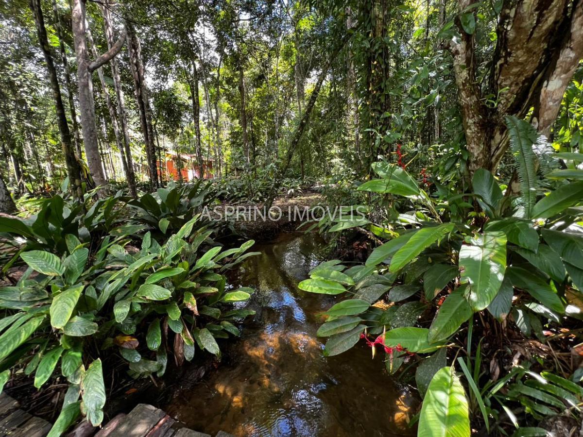 Chácara à venda com 2 quartos, 68000m² - Foto 10