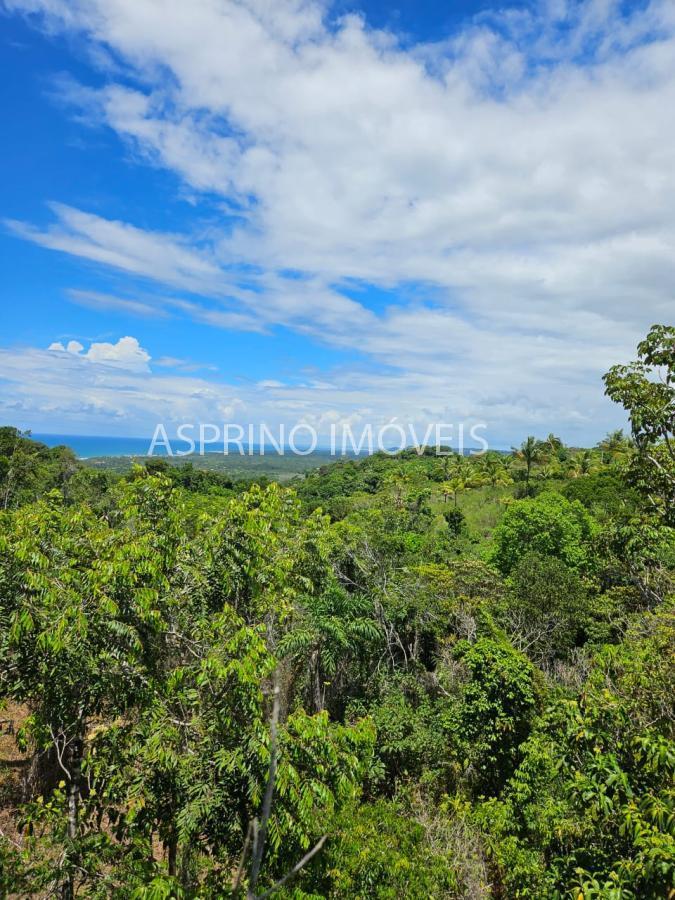 Terreno à venda, 25000m² - Foto 4