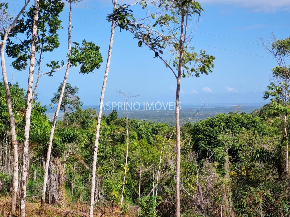 Terreno à venda, 25000m² - Foto 17