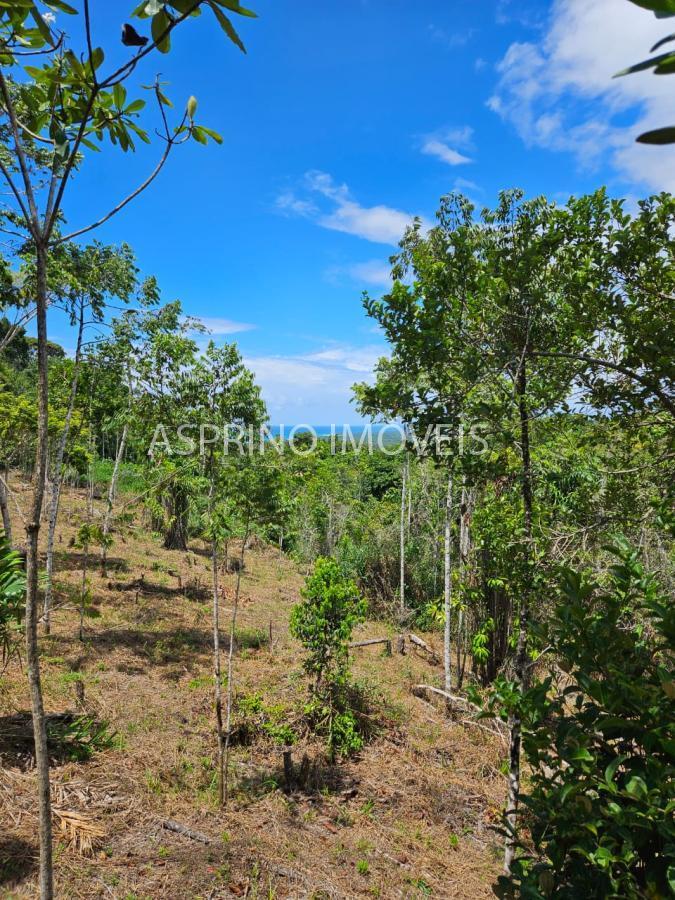 Terreno à venda, 25000m² - Foto 18