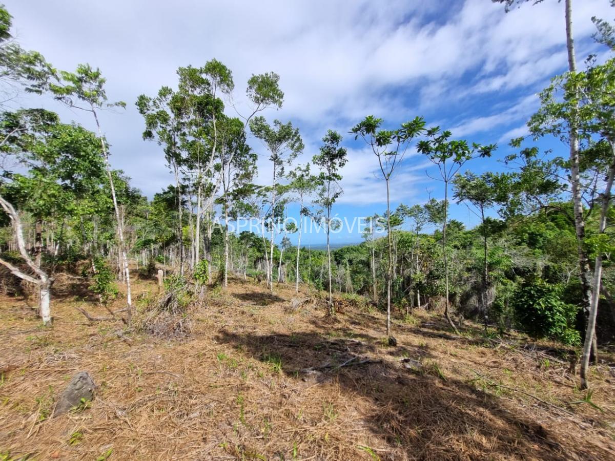 Terreno à venda, 25000m² - Foto 19