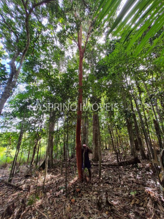 Terreno à venda, 25000m² - Foto 20