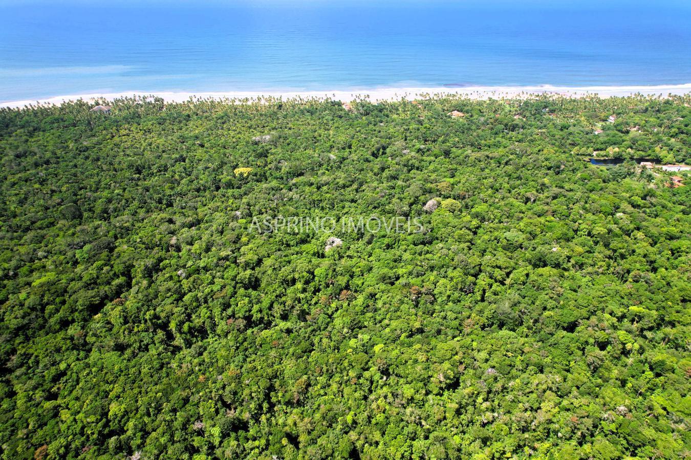 Terreno à venda com 8 quartos, 389000m² - Foto 5