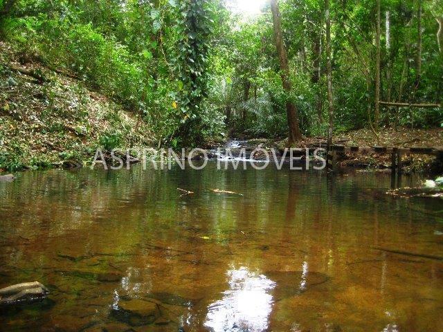 Terreno à venda, 20000m² - Foto 10