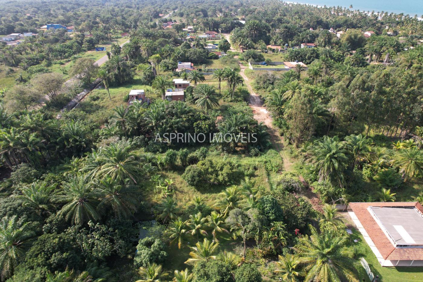 Terreno à venda, 800m² - Foto 7