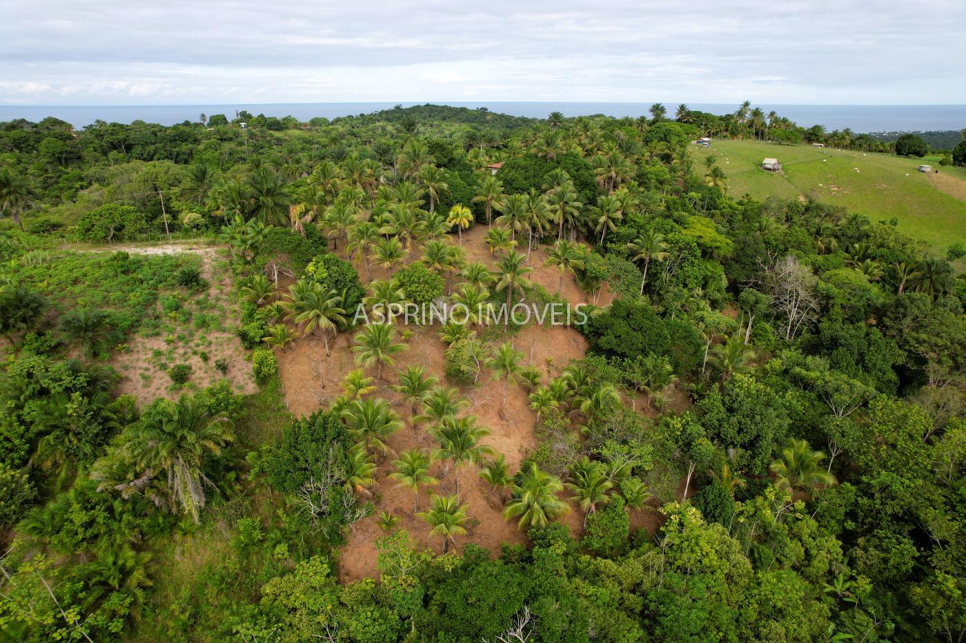 Chácara à venda com 2 quartos, 20000m² - Foto 9