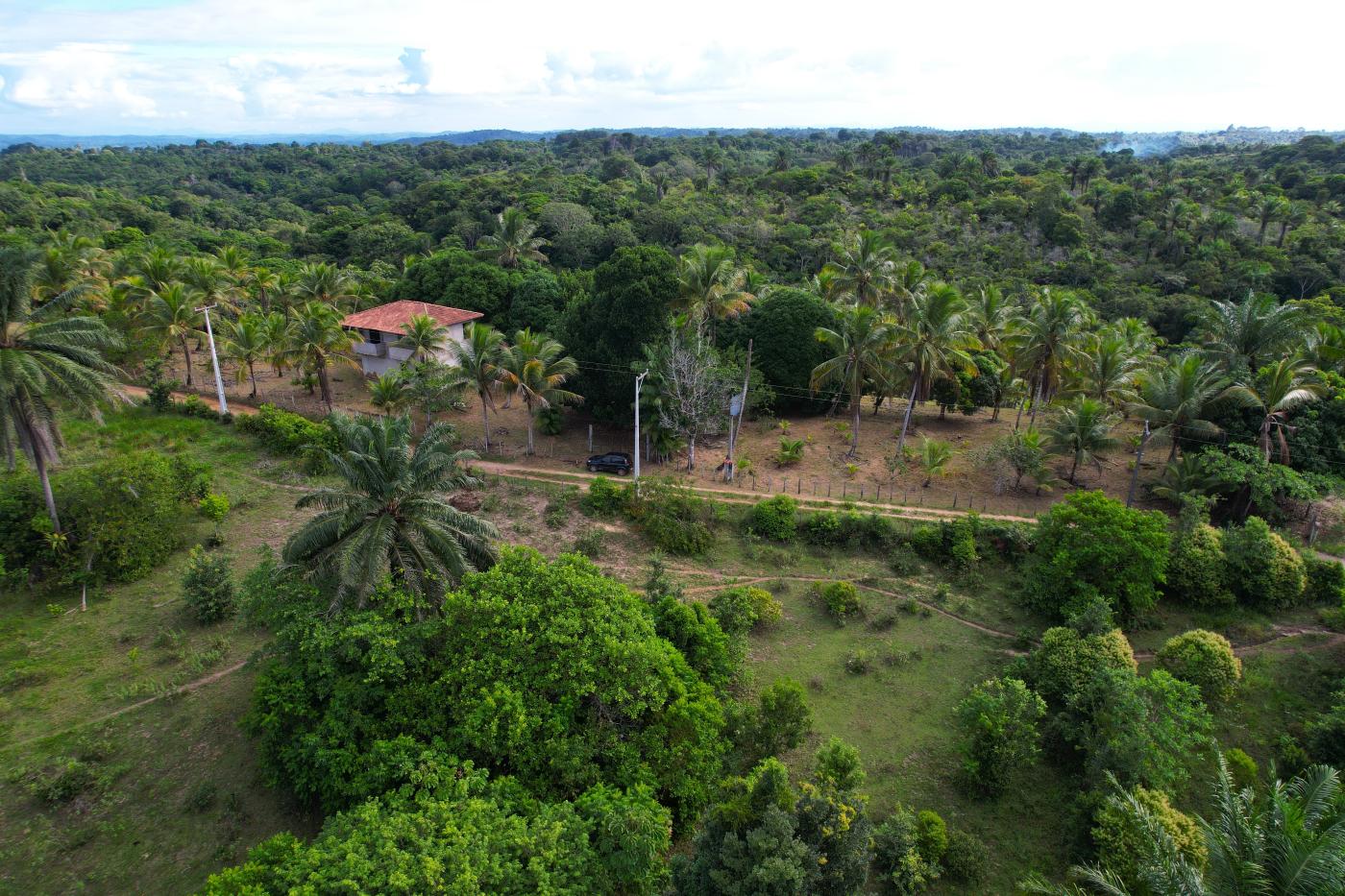 Chácara à venda com 2 quartos, 20000m² - Foto 8