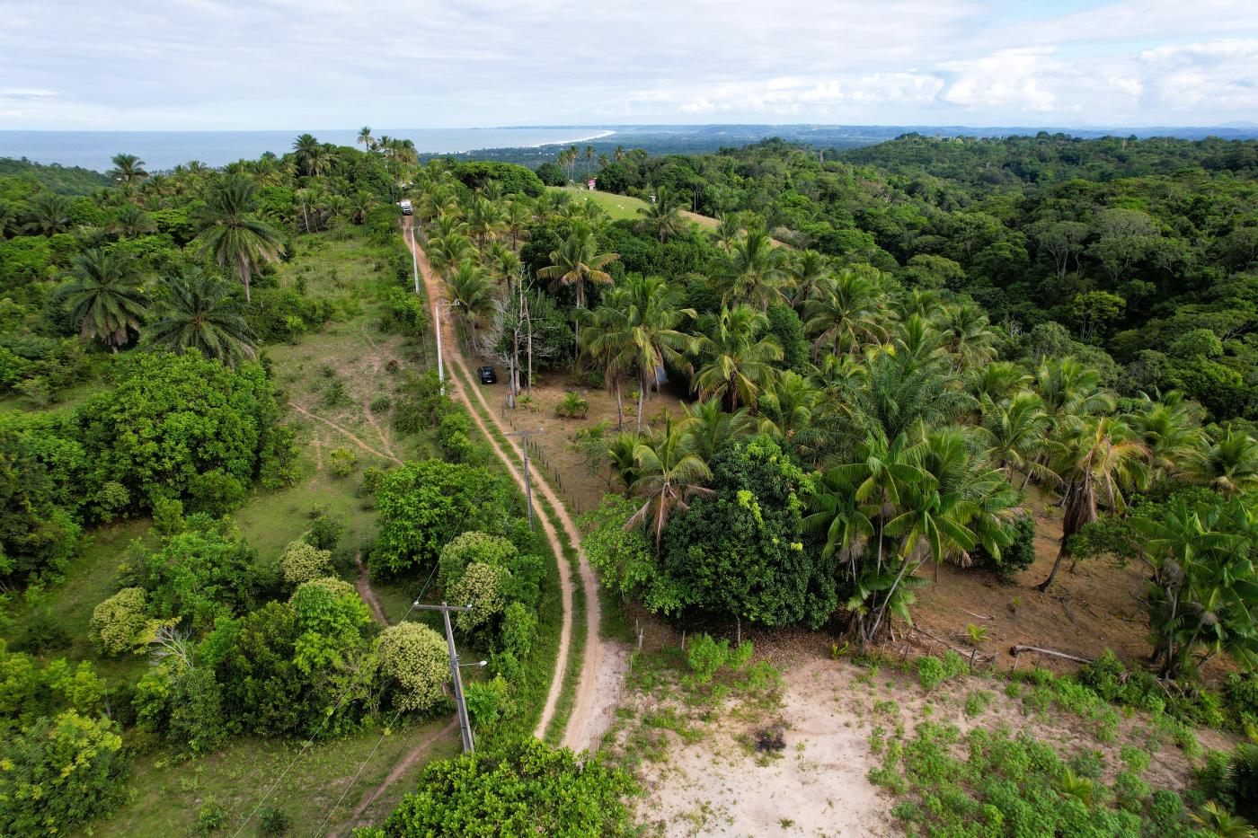 Chácara à venda com 2 quartos, 20000m² - Foto 10