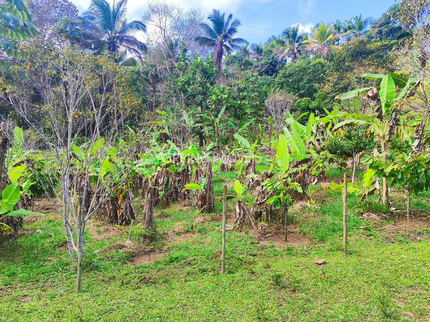 Chácara à venda, 19m² - Foto 15