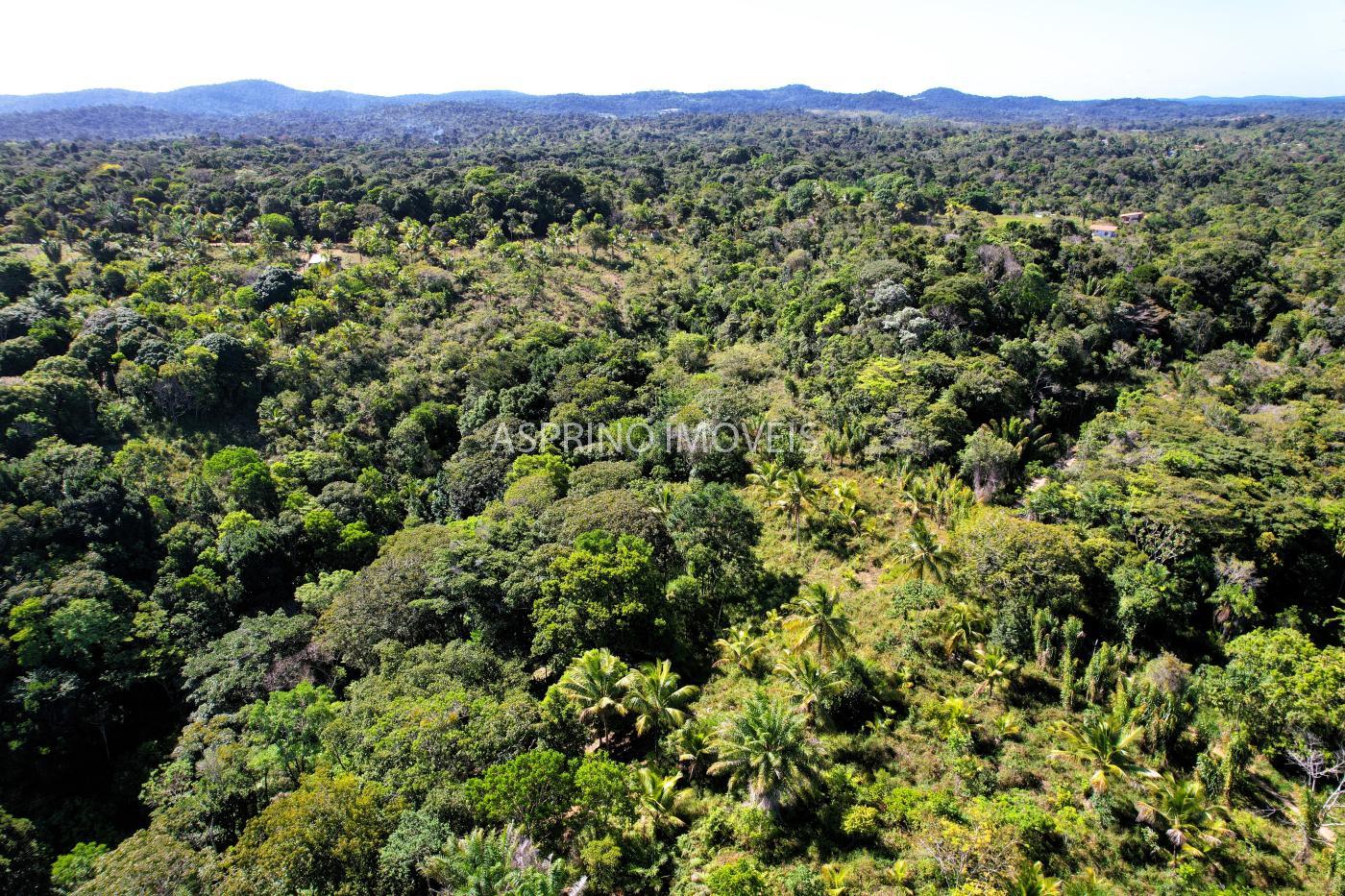 Terreno à venda, 25000m² - Foto 14