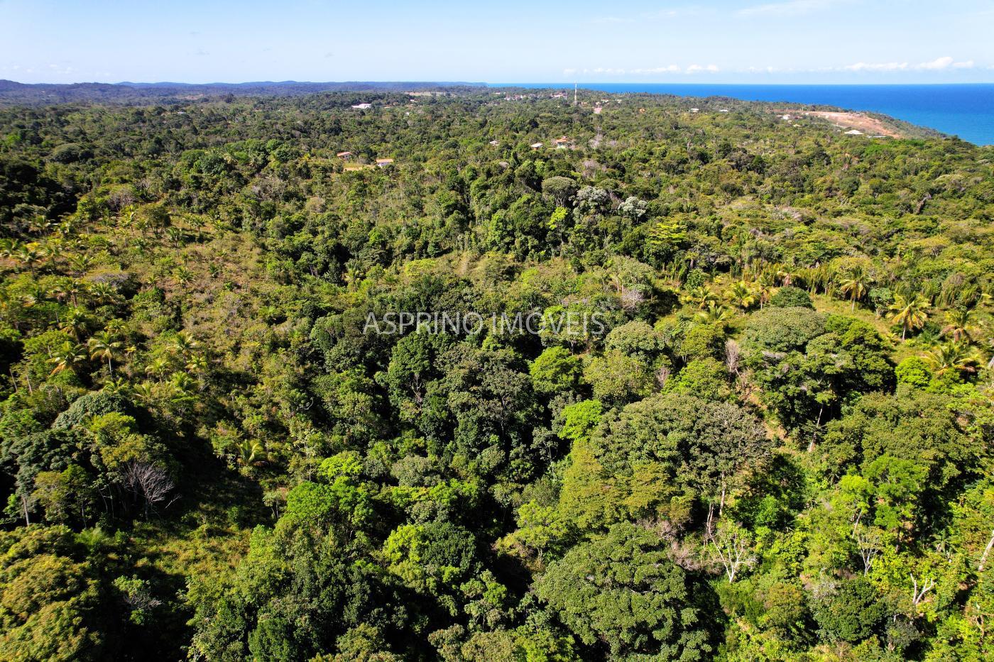 Terreno à venda, 25000m² - Foto 10