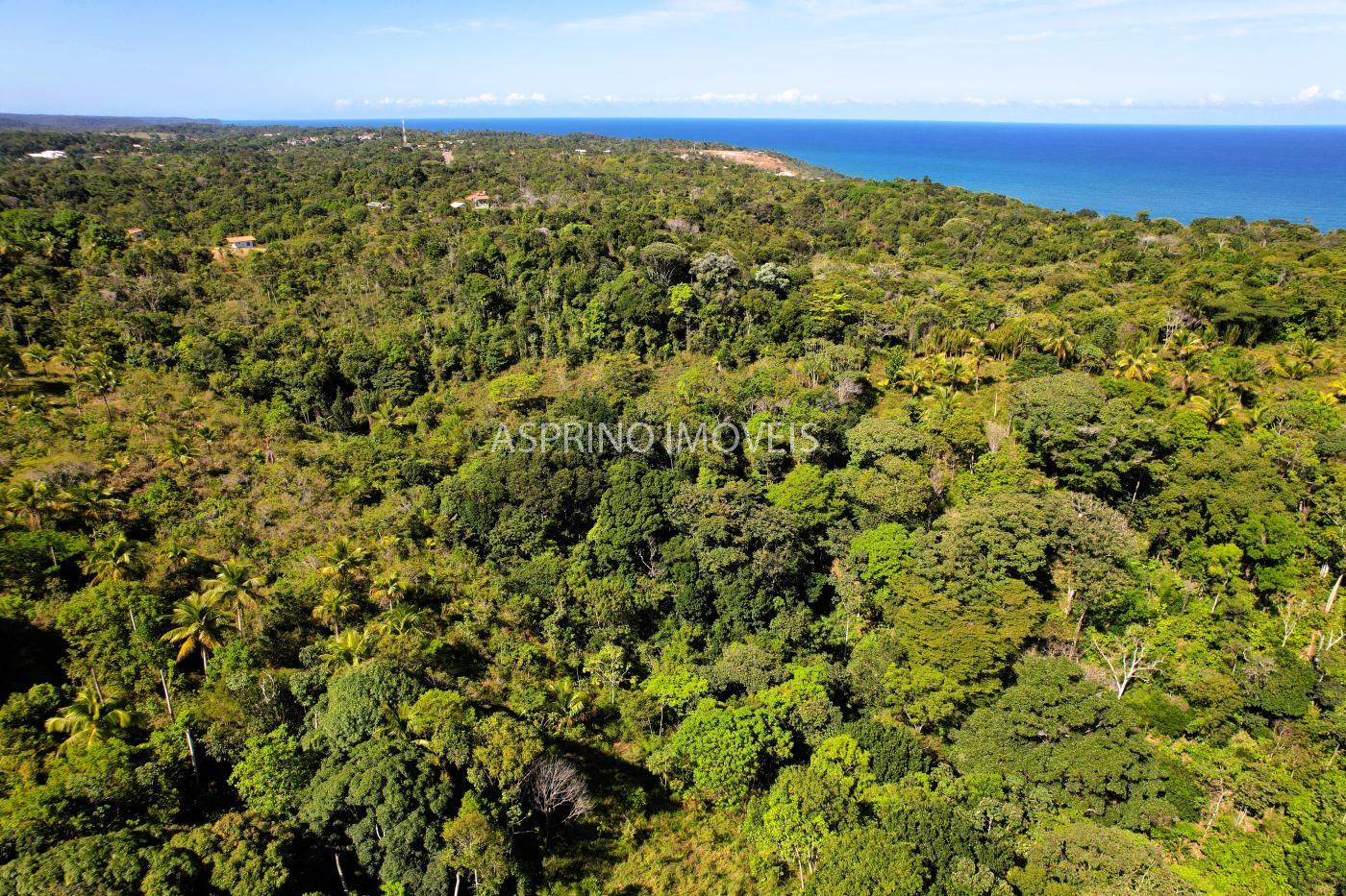 Terreno à venda, 25000m² - Foto 9