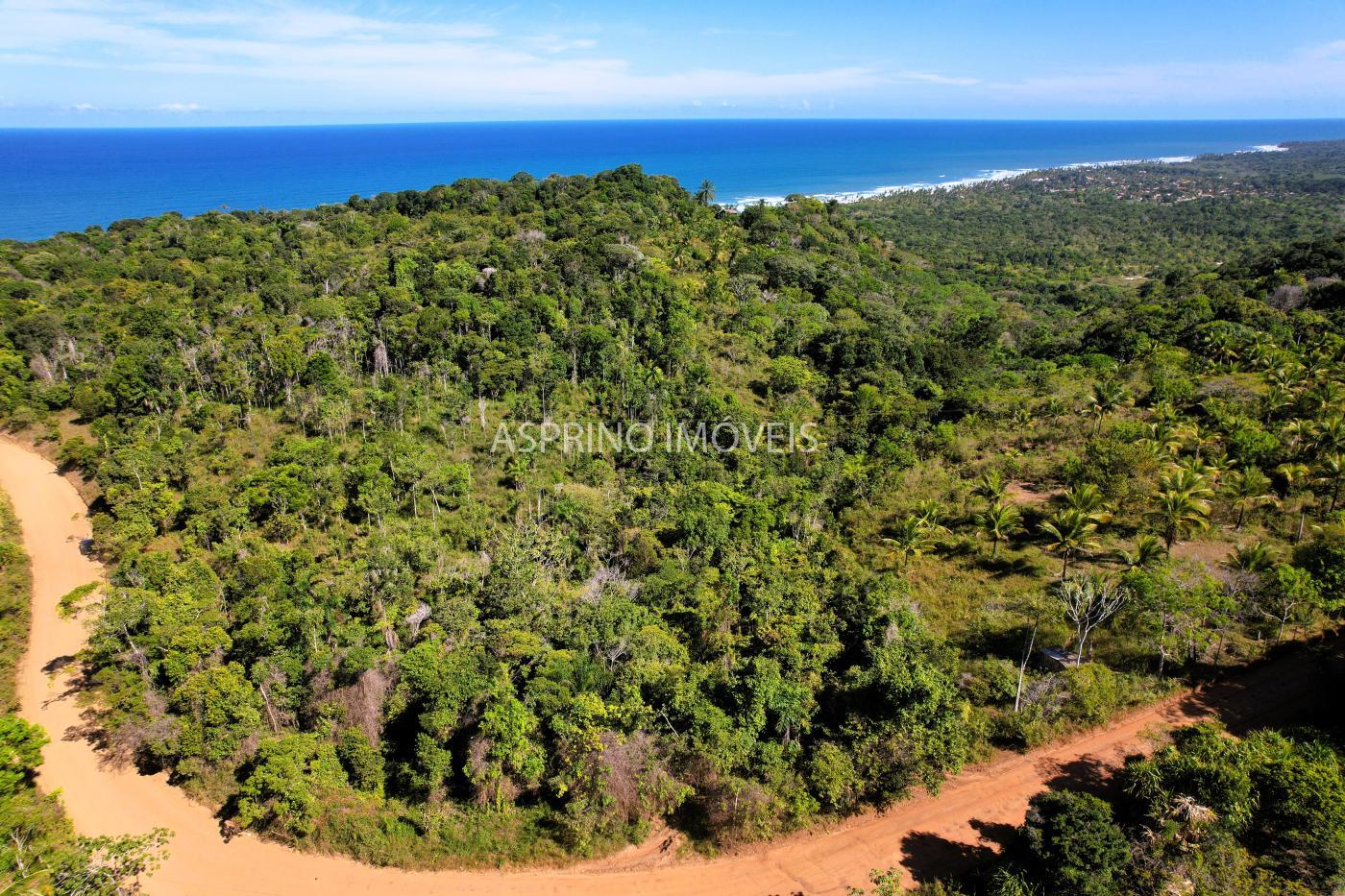 Terreno à venda, 25000m² - Foto 7