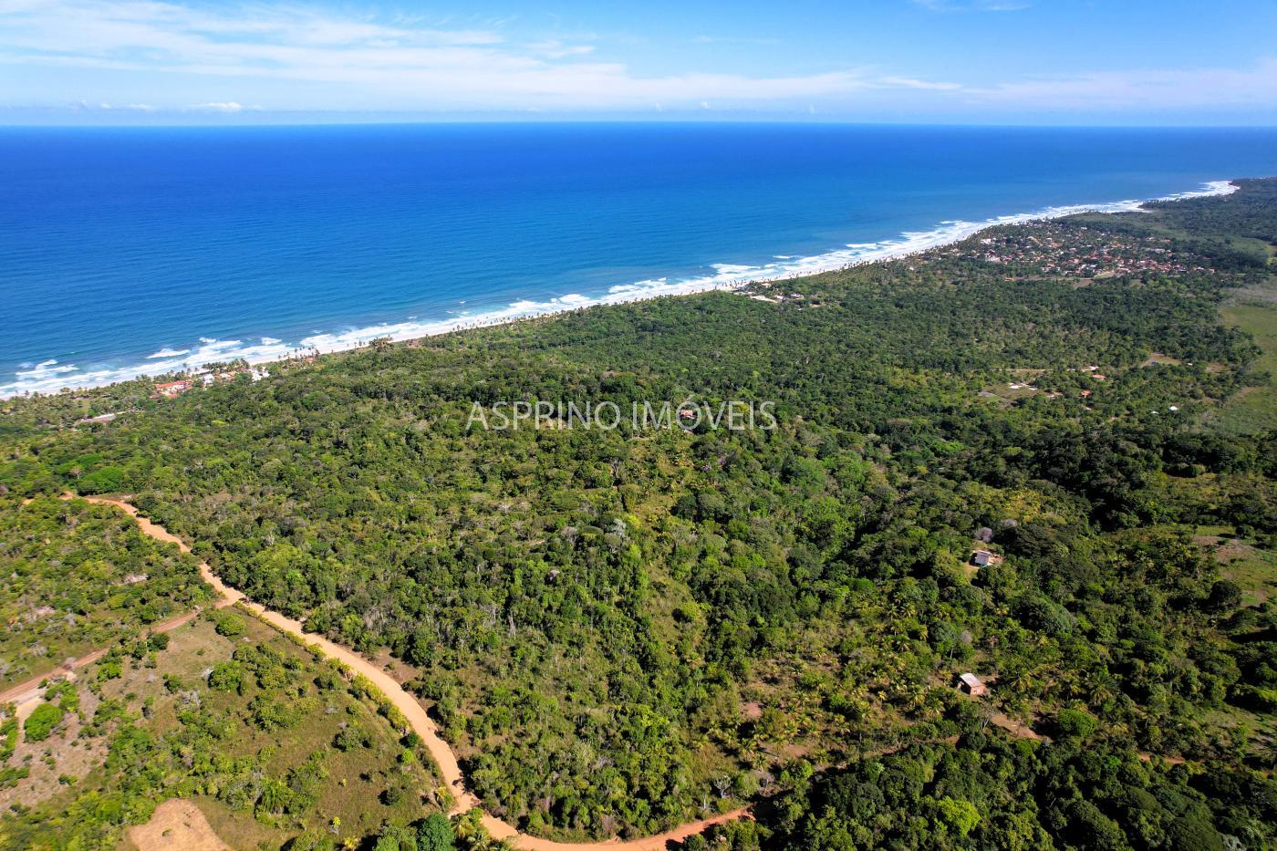 Terreno à venda, 25000m² - Foto 11