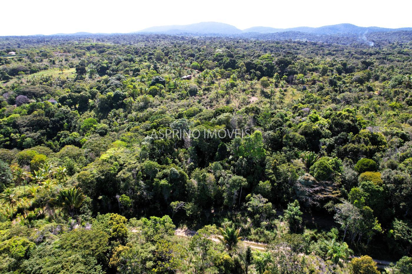 Terreno à venda, 25000m² - Foto 15