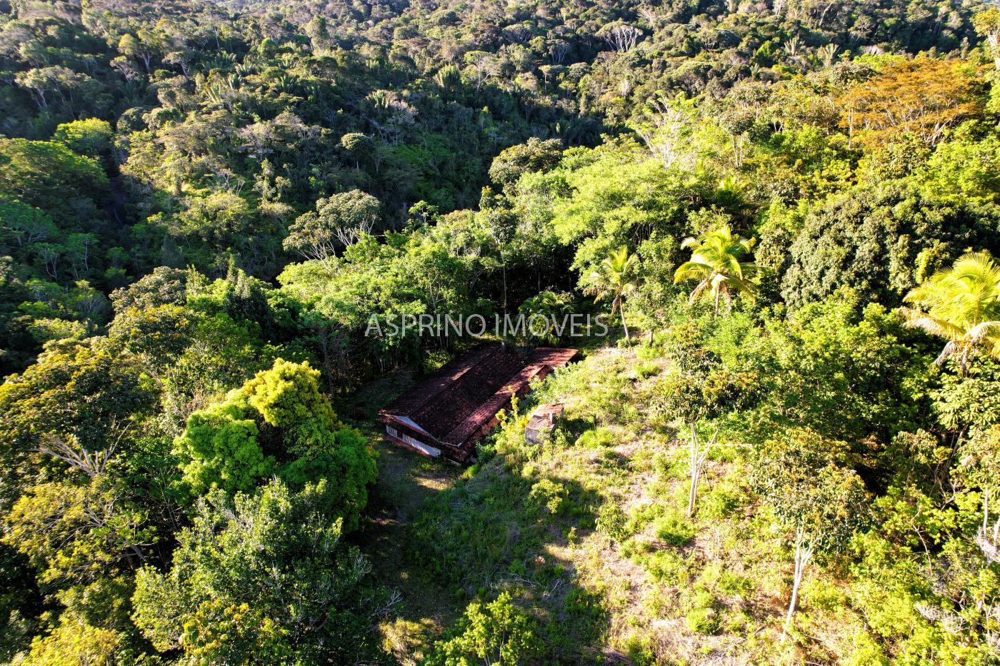 Chácara à venda com 3 quartos, 14m² - Foto 41