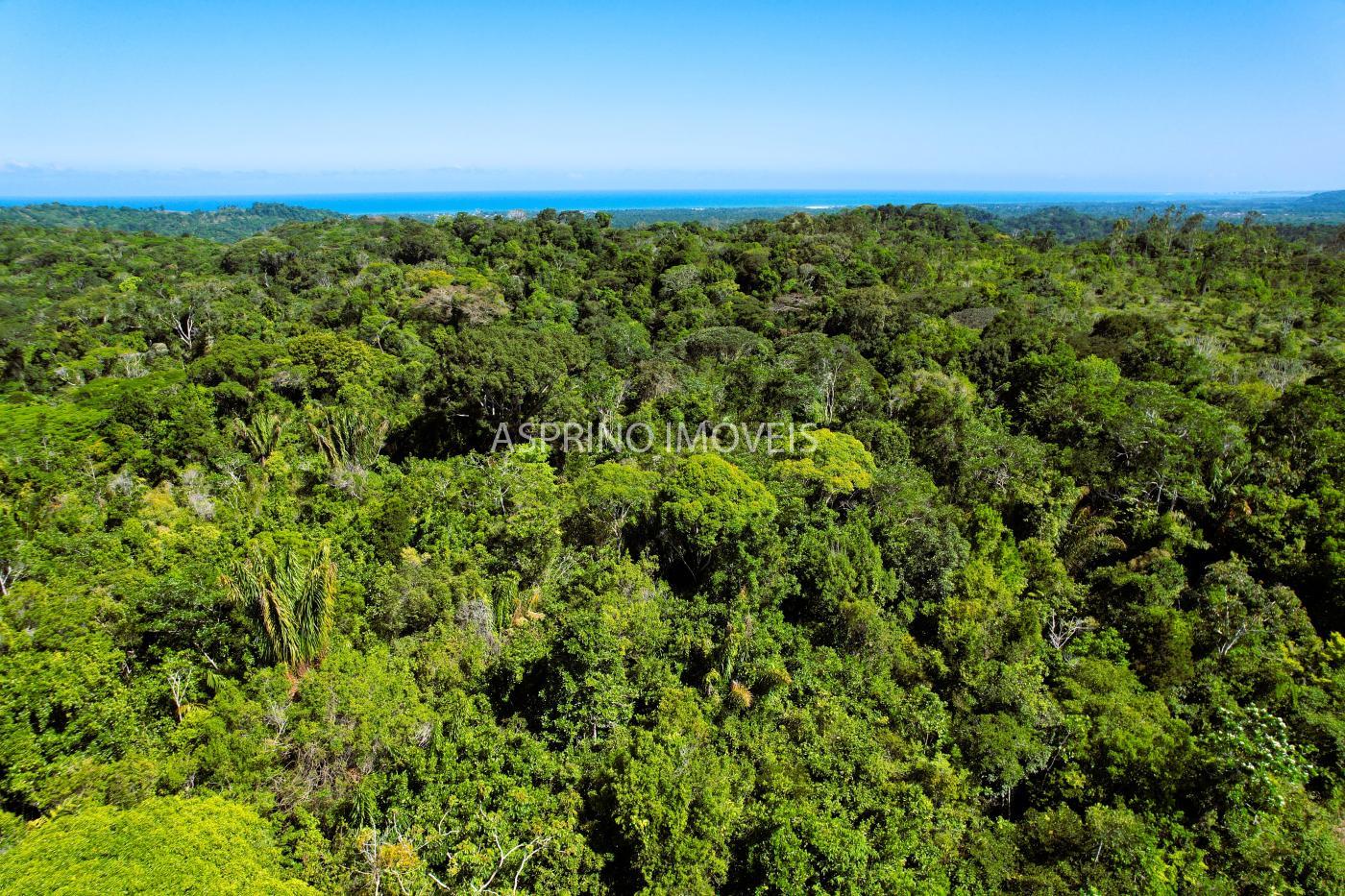 Terreno à venda, 90000m² - Foto 6