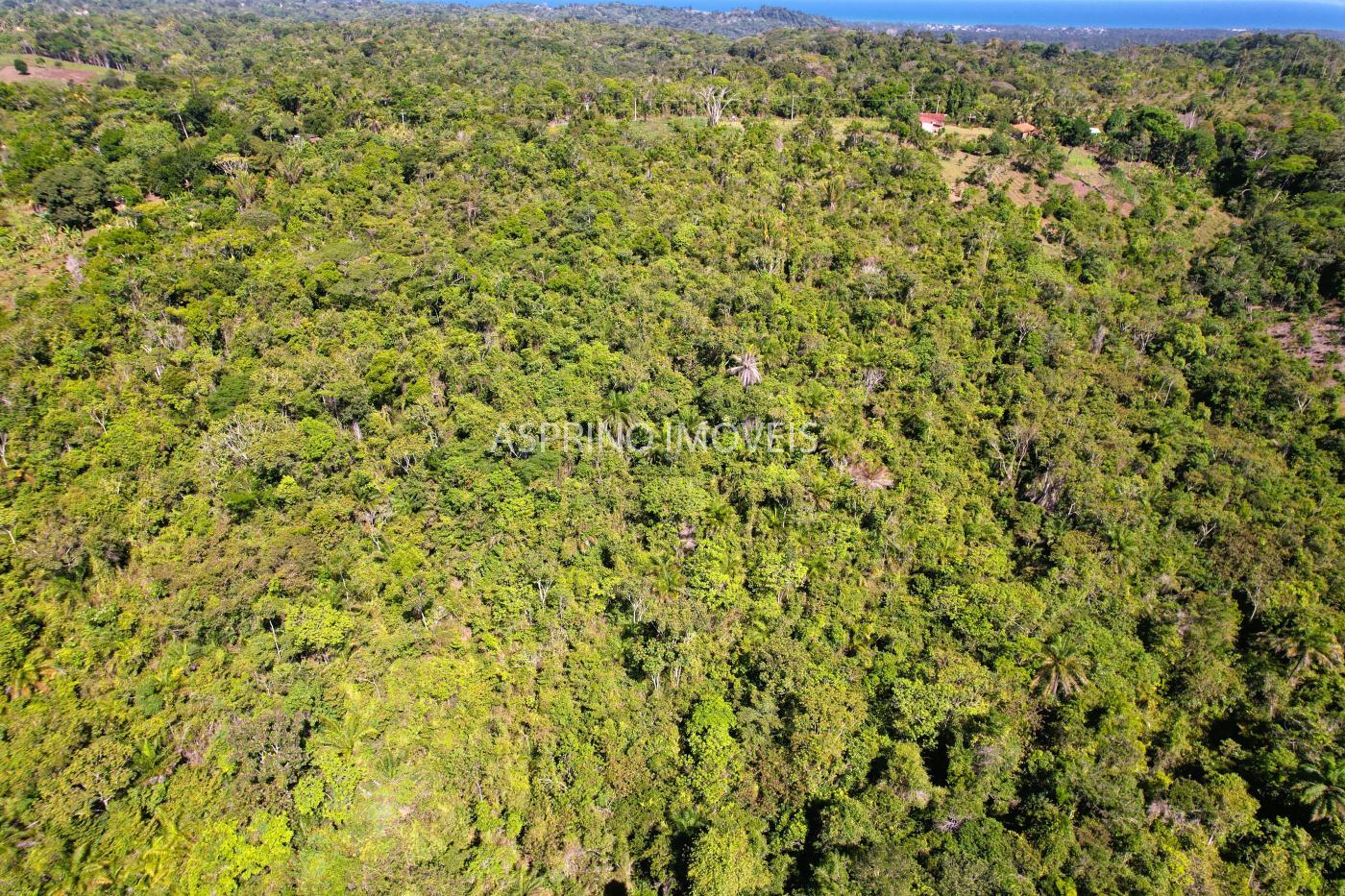 Terreno à venda, 90000m² - Foto 5