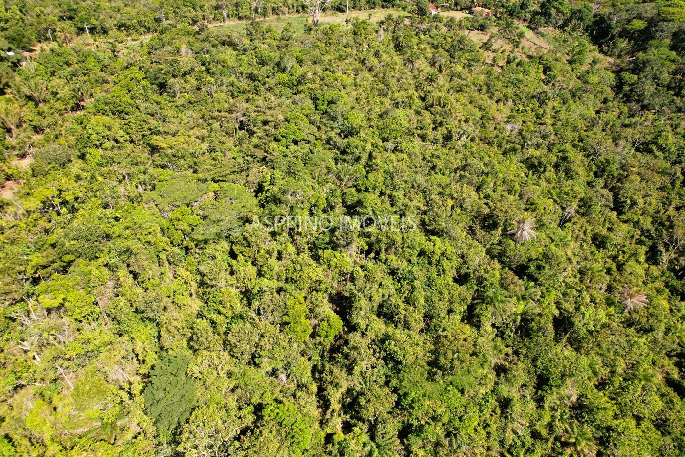 Terreno à venda, 90000m² - Foto 4