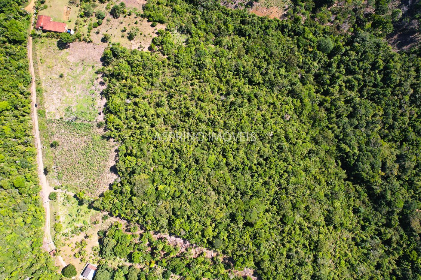 Terreno à venda, 90000m² - Foto 3