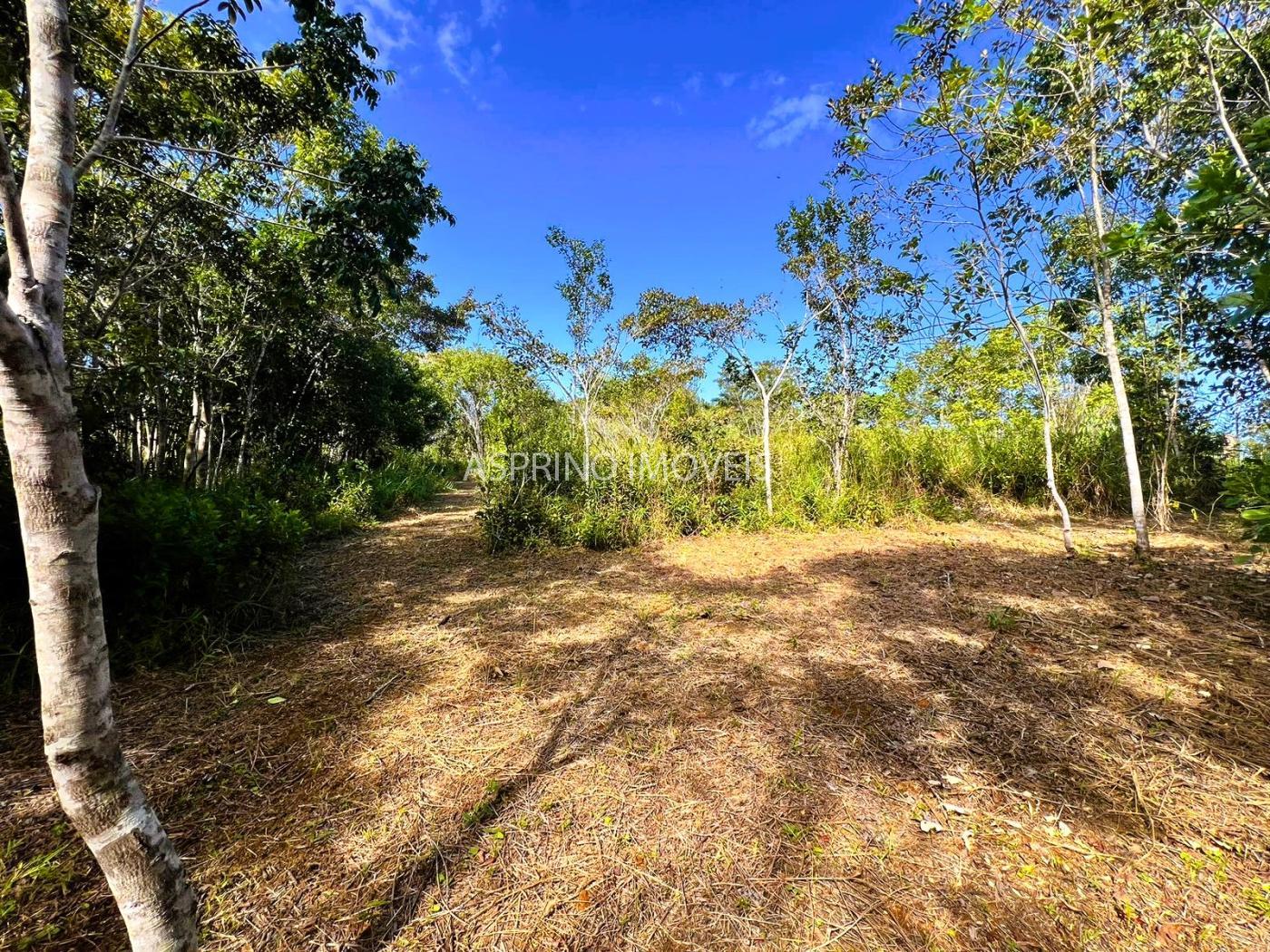 Terreno à venda, 1005m² - Foto 9